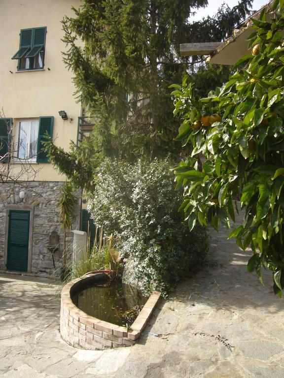 Agriturismo Olivarancio Leivi Exterior foto